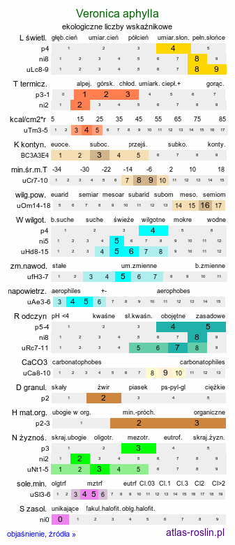 ekologiczne liczby wskaźnikowe Veronica aphylla (przetacznik różyczkowaty)