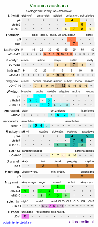 ekologiczne liczby wskaźnikowe Veronica austriaca (przetacznik ząbkowany)