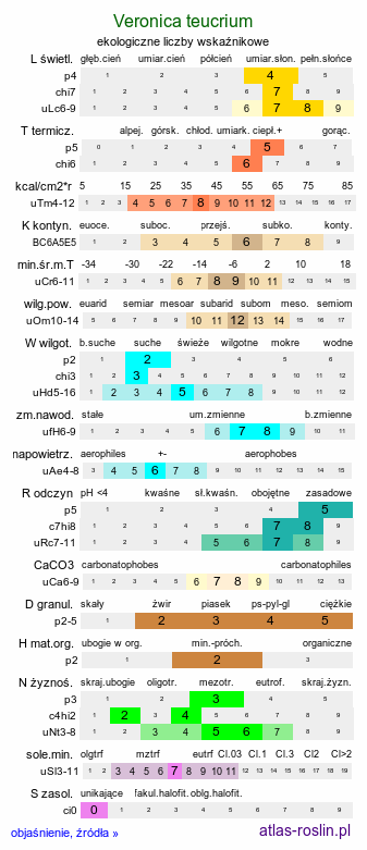 ekologiczne liczby wskaźnikowe Veronica teucrium (przetacznik pagórkowy)