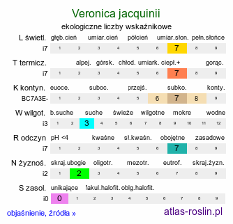 ekologiczne liczby wskaźnikowe Veronica jacquinii (przetacznik pierzastosieczny)