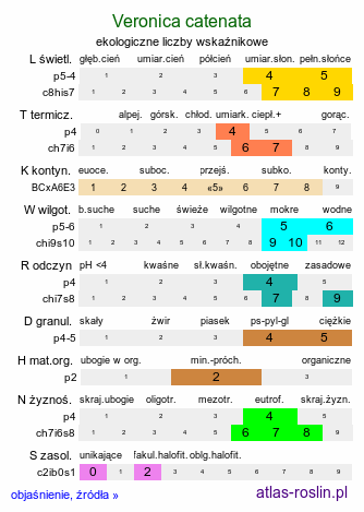 ekologiczne liczby wskaźnikowe Veronica catenata (przetacznik wodny)