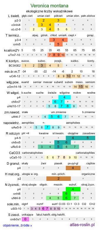 ekologiczne liczby wskaźnikowe Veronica montana (przetacznik górski)