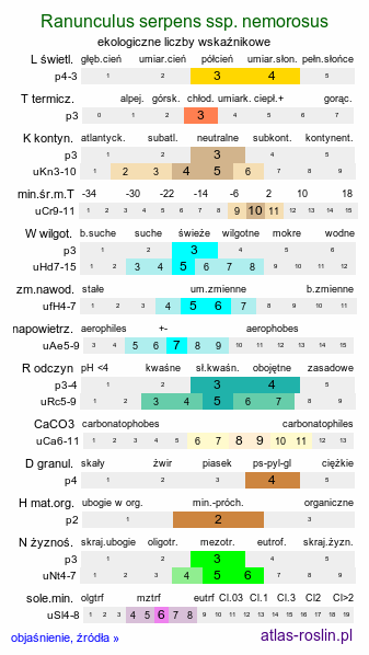ekologiczne liczby wskaźnikowe Ranunculus serpens ssp. nemorosus (jaskier gajowy typowy)