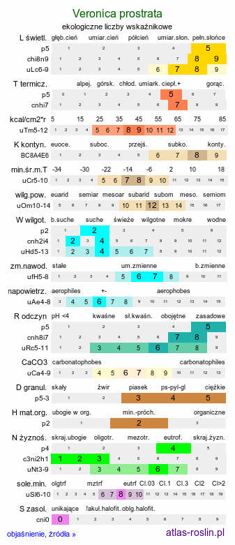 ekologiczne liczby wskaźnikowe Veronica prostrata (przetacznik rozesłany)