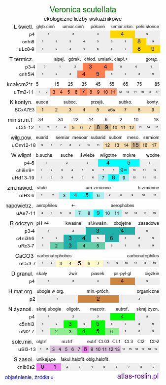 ekologiczne liczby wskaźnikowe Veronica scutellata (przetacznik błotny)