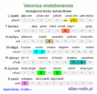 ekologiczne liczby wskaźnikowe Veronica vindobonensis (przetacznik pannoński)