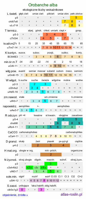 ekologiczne liczby wskaźnikowe Orobanche alba (zaraza macierzankowa)