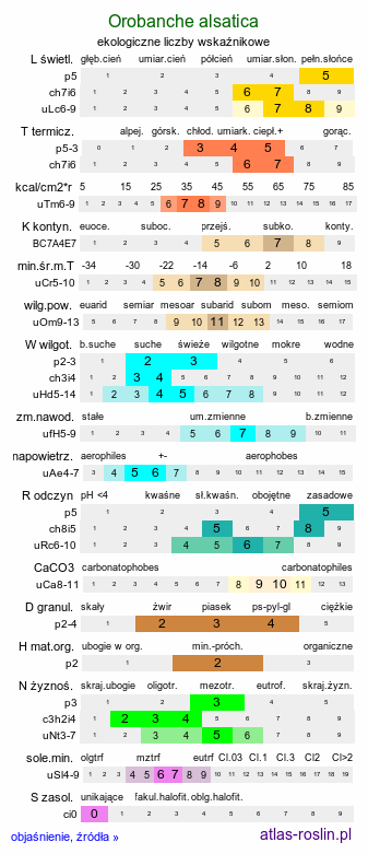 ekologiczne liczby wskaźnikowe Orobanche alsatica (zaraza alzacka)