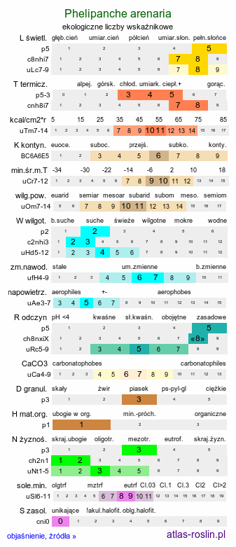 ekologiczne liczby wskaźnikowe Phelipanche arenaria (zaraźnica piaskowa)