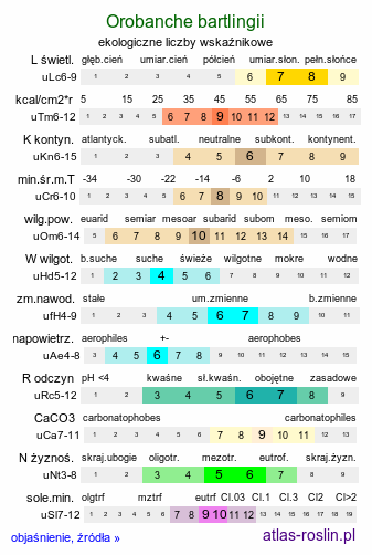 ekologiczne liczby wskaźnikowe Orobanche bartlingii (zaraza Bartlinga)