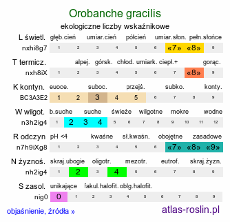 ekologiczne liczby wskaźnikowe Orobanche gracilis (zaraza krwistoczerwona)