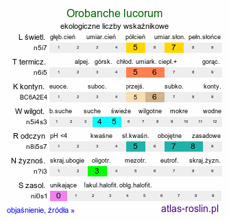 ekologiczne liczby wskaźnikowe Orobanche lucorum (zaraza berberysowa)