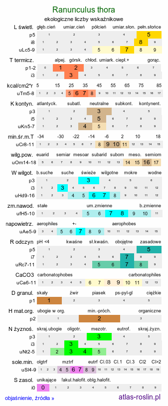 ekologiczne liczby wskaźnikowe Ranunculus thora (jaskier okrągłolistny)