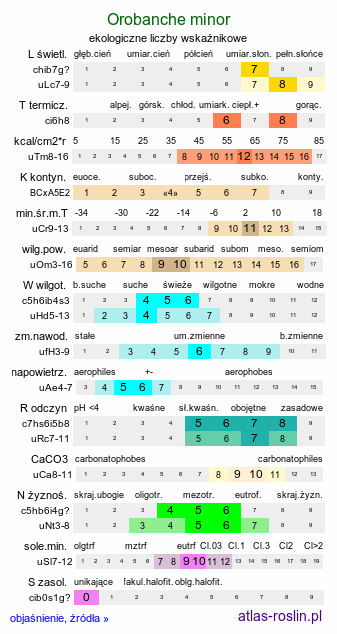 ekologiczne liczby wskaźnikowe Orobanche minor (zaraza drobnokwiatowa)