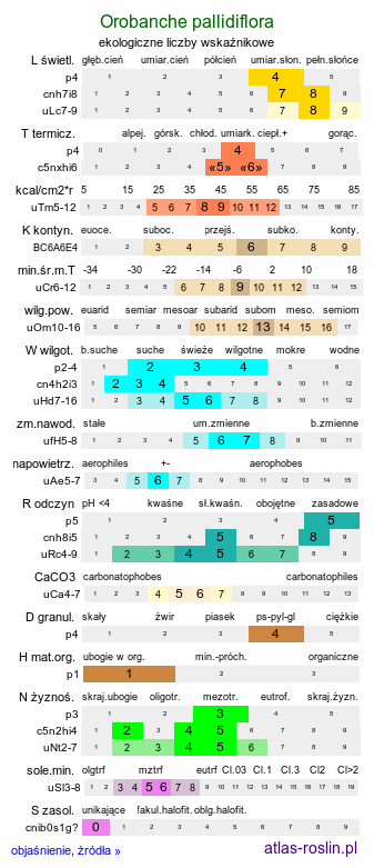ekologiczne liczby wskaźnikowe Orobanche pallidiflora (zaraza bladokwiatowa)