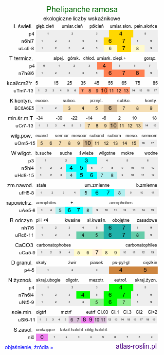 ekologiczne liczby wskaźnikowe Phelipanche ramosa (zaraźnica gałęzista)