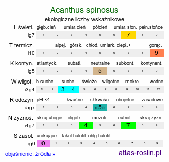 ekologiczne liczby wskaźnikowe Acanthus spinosus (akant kłujący)