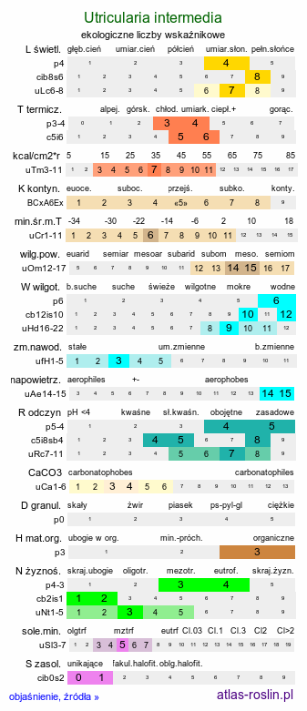 ekologiczne liczby wskaźnikowe Utricularia intermedia (pływacz średni)
