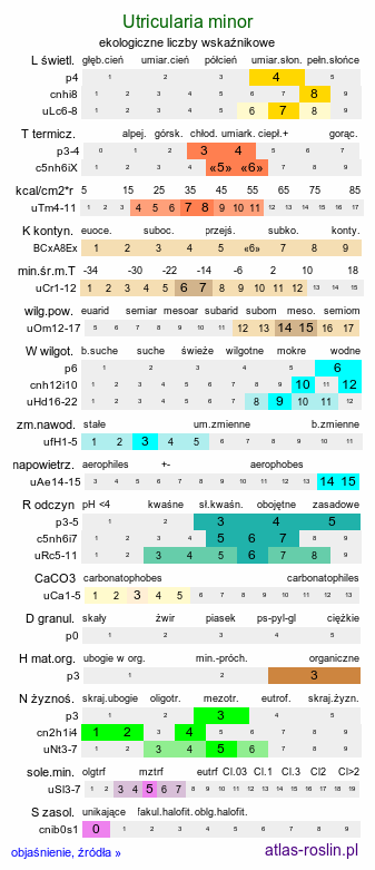 ekologiczne liczby wskaźnikowe Utricularia minor (pływacz drobny)