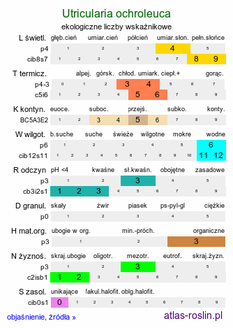 ekologiczne liczby wskaźnikowe Utricularia ochroleuca (pływacz krótkoostrogowy)