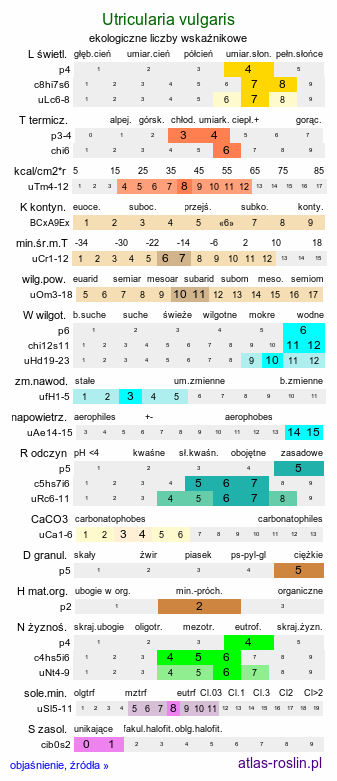 ekologiczne liczby wskaźnikowe Utricularia vulgaris (pływacz zwyczajny)