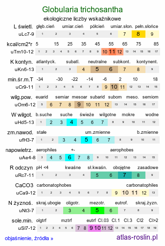 ekologiczne liczby wskaźnikowe Globularia trichosantha (kulnik włosokwiatowy)