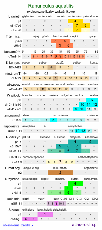 ekologiczne liczby wskaźnikowe Ranunculus aquatilis (jaskier wodny)