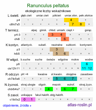 ekologiczne liczby wskaźnikowe Ranunculus peltatus (jaskier tarczowaty)