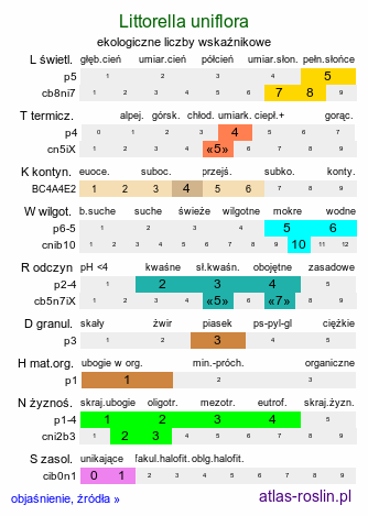 ekologiczne liczby wskaźnikowe Littorella uniflora (brzeżyca jednokwiatowa)