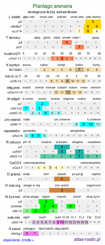 ekologiczne liczby wskaźnikowe Plantago arenaria (babka piaskowa)