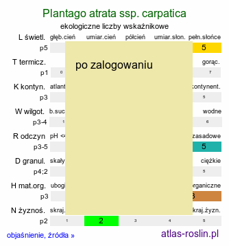 ekologiczne liczby wskaźnikowe Plantago atrata ssp. carpatica (babka górska)