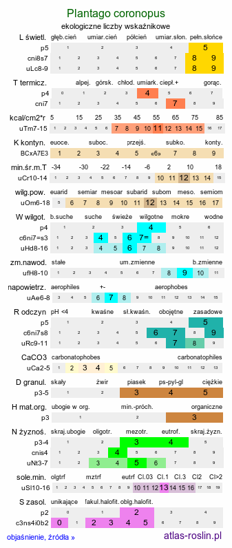 ekologiczne liczby wskaźnikowe Plantago coronopus (babka pierzasta)