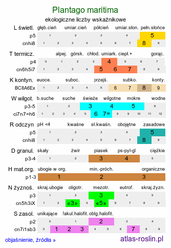 ekologiczne liczby wskaźnikowe Plantago maritima (babka nadmorska)