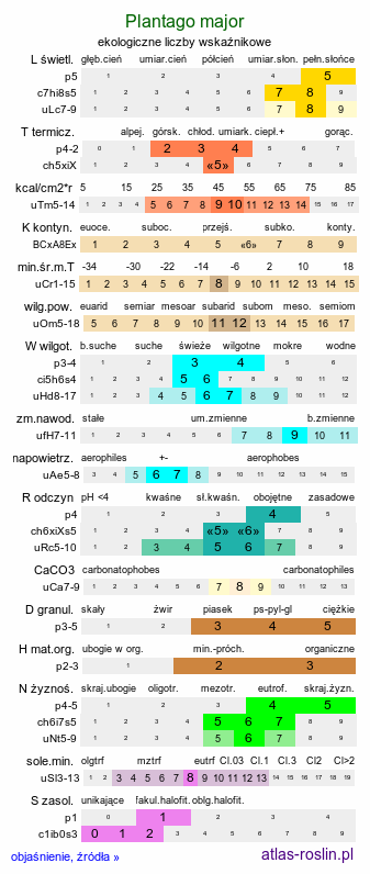 ekologiczne liczby wskaźnikowe Plantago major (babka zwyczajna)