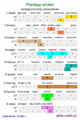 ekologiczne liczby wskaźnikowe Plantago winteri (babka Wintera)