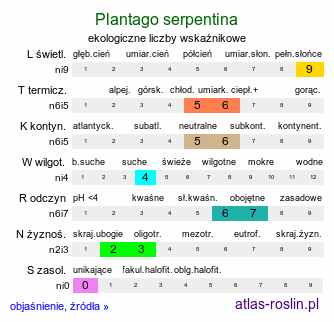 ekologiczne liczby wskaźnikowe Plantago serpentina (babka wężowa)