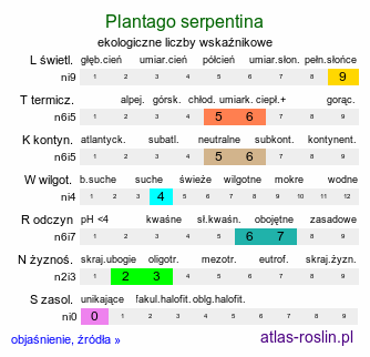 ekologiczne liczby wskaźnikowe Plantago serpentina (babka wężowa)