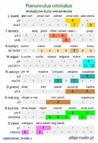 ekologiczne liczby wskaźnikowe Ranunculus circinatus (jaskier krążkolistny)