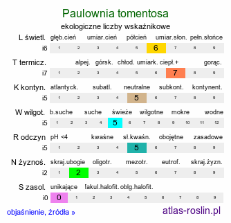 ekologiczne liczby wskaźnikowe Paulownia tomentosa (paulownia cesarska)