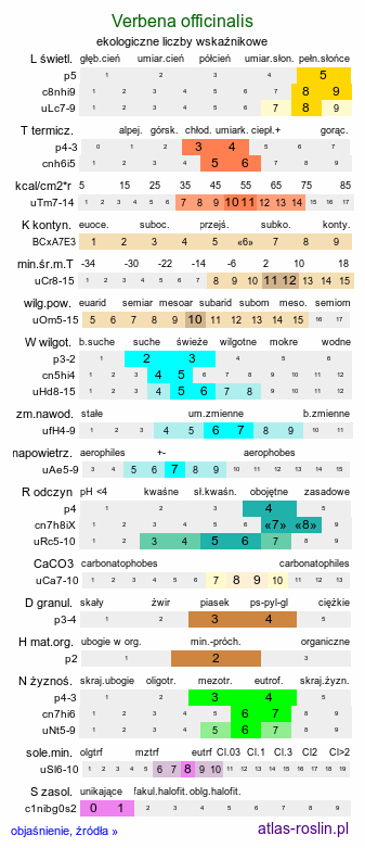 ekologiczne liczby wskaźnikowe Verbena officinalis (werbena pospolita)