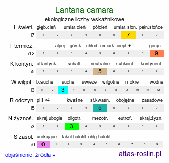 ekologiczne liczby wskaźnikowe Lantana camara (lantana pospolita)