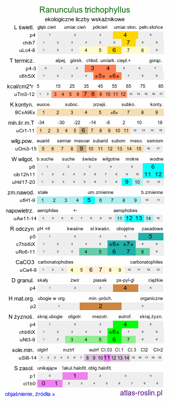 ekologiczne liczby wskaźnikowe Ranunculus trichophyllus (jaskier skąpopręcikowy)