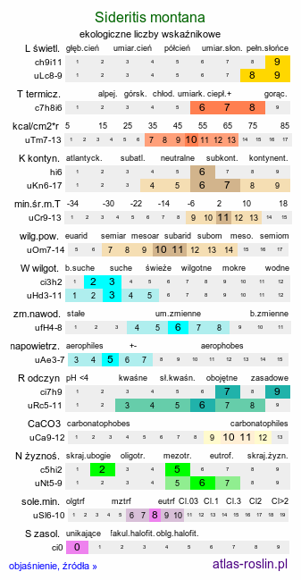ekologiczne liczby wskaźnikowe Sideritis montana (gojnik drobnokwiatowy)