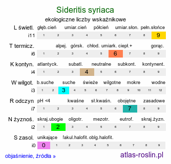 ekologiczne liczby wskaźnikowe Sideritis syriaca