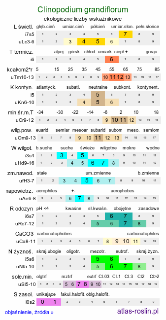 ekologiczne liczby wskaźnikowe Clinopodium grandiflorum (czyścica wielkokwiatowa)