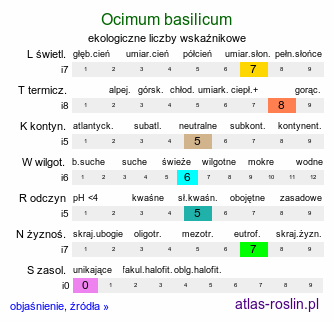 ekologiczne liczby wskaźnikowe Ocimum basilicum (bazylia pospolita)