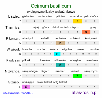 ekologiczne liczby wskaźnikowe Ocimum basilicum (bazylia pospolita)