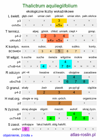 ekologiczne liczby wskaźnikowe Thalictrum aquilegiifolium (rutewka orlikolistna)