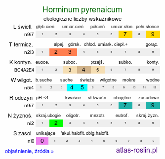 ekologiczne liczby wskaźnikowe Horminum pyrenaicum (horminum pirenejskie)