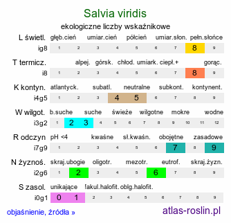 ekologiczne liczby wskaźnikowe Salvia viridis (szałwia zielona)